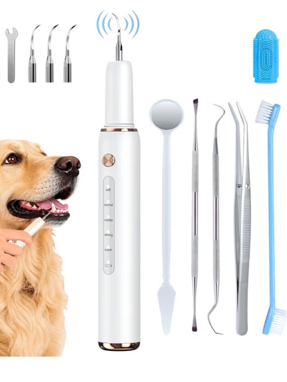 Dog Plaque Remover for Teeth